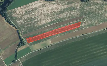 Prodej pole 23 039 m², Bílá Třemešná, okres Trutnov