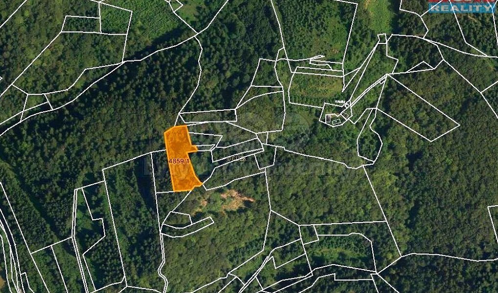 Prodej lesa 5 001 m², Halenkov – náhled fotky 8