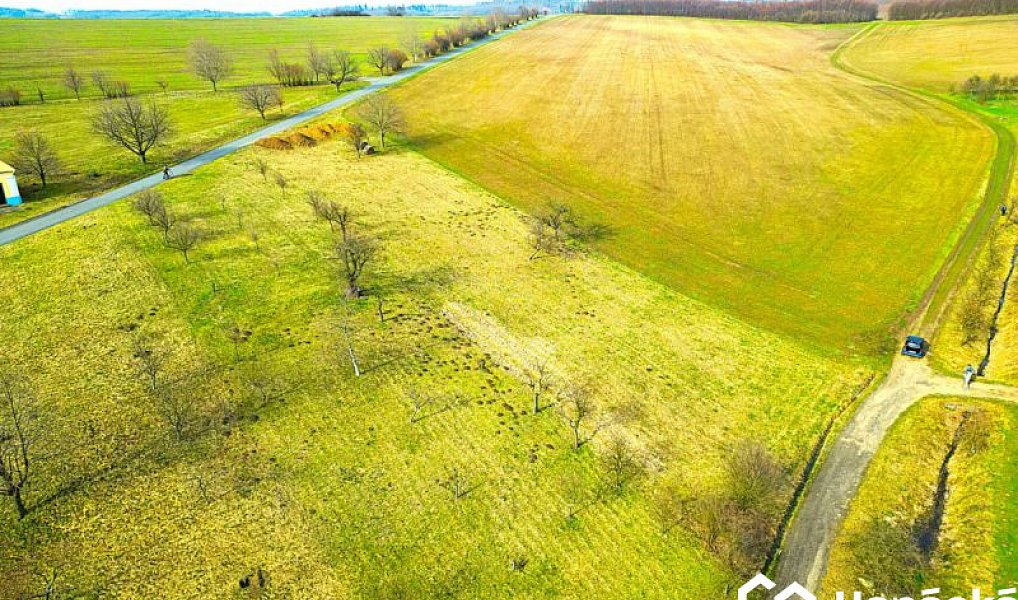 Prodej zahrady 2 399 m², Bořenovice – náhled fotky 5