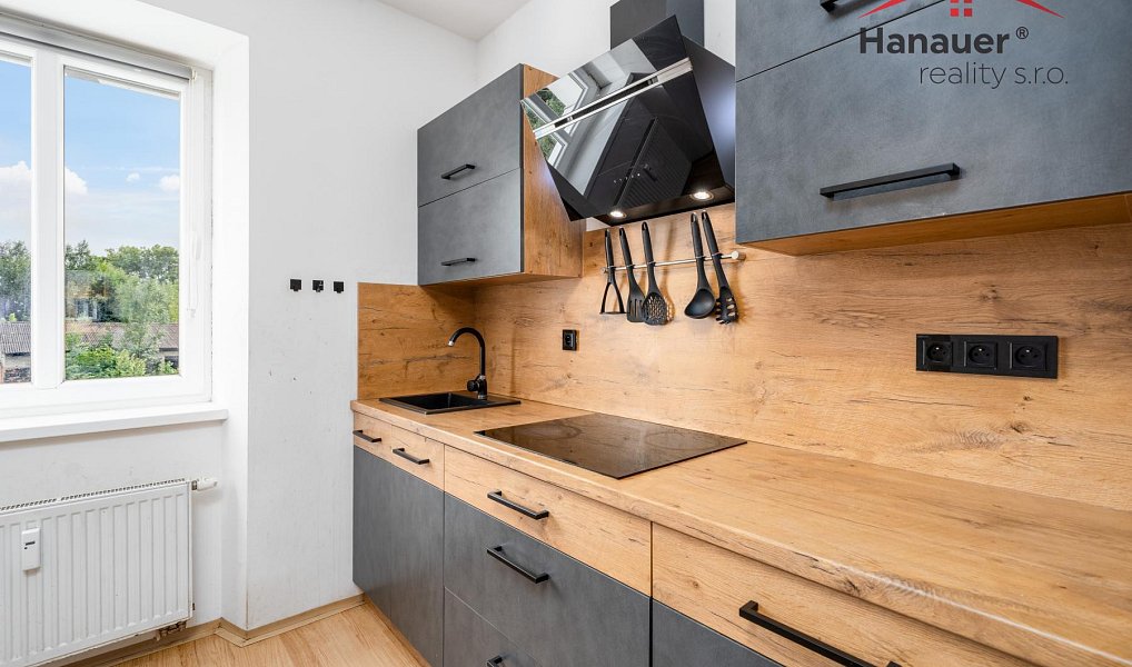 Prodej domu 488 m² s pozemkem 4 528 m², Hostomice – náhled fotky 8