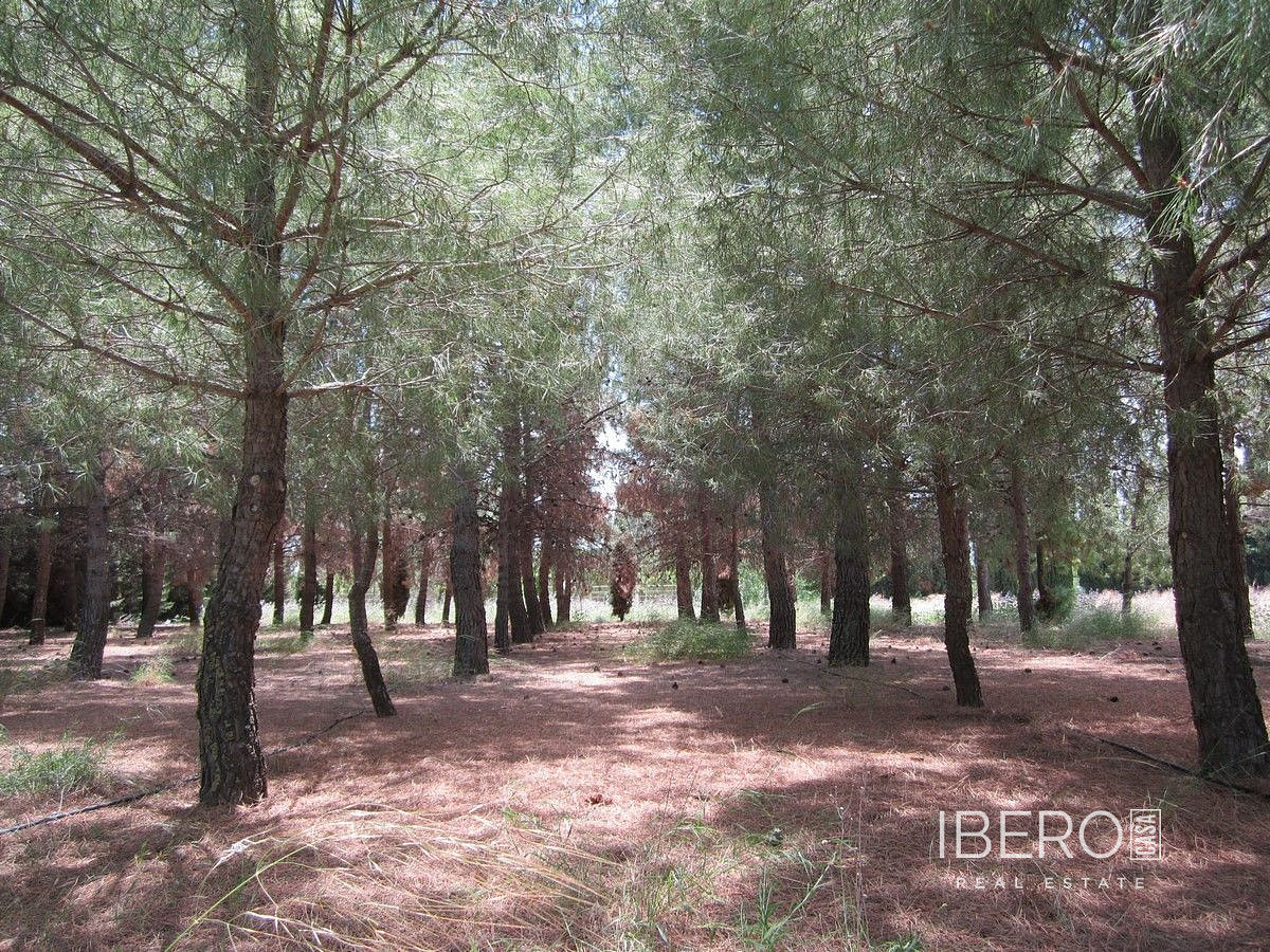 Prodej domu 501 m² s pozemkem 11 600 m² — photo 2