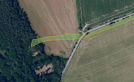 Prodej louky 5 877 m², Proseč, okres Chrudim