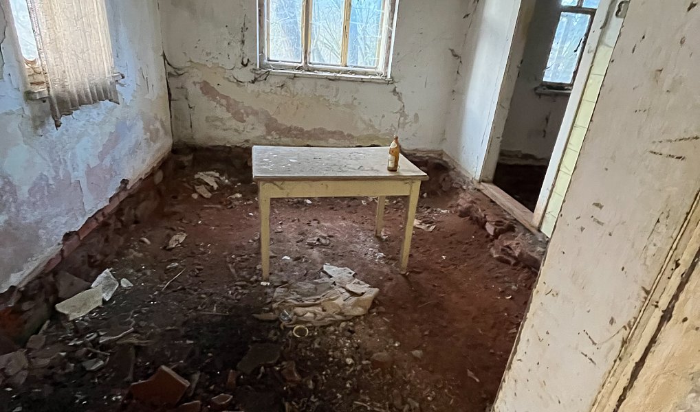 Prodej chalupy 341 m², Staré Buky – náhled fotky 13