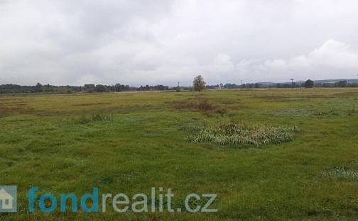 Prodej pole 1 454 m², Plchovice, okres Ústí nad Orlicí