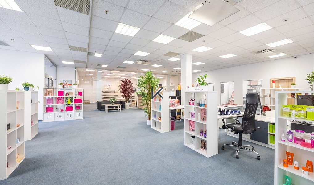 Pronájem obchodních prostor 1 030 m², Praha – náhled fotky 6