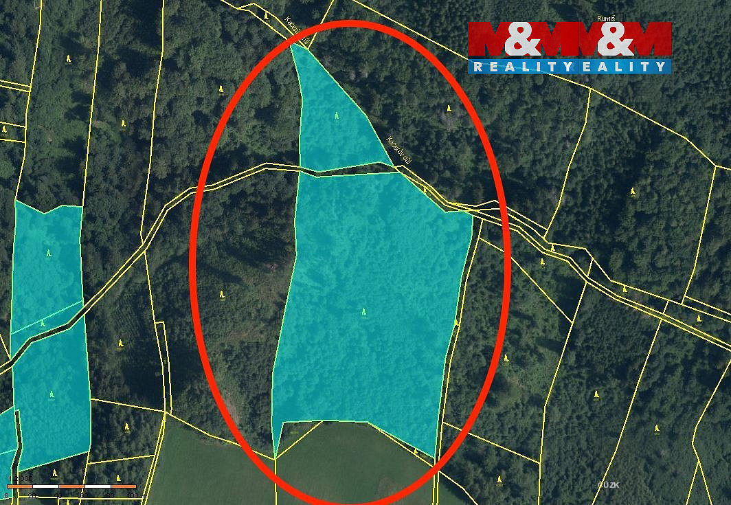 Prodej lesa 29 330 m²