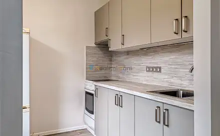Pronájem bytu 1+1 33 m²