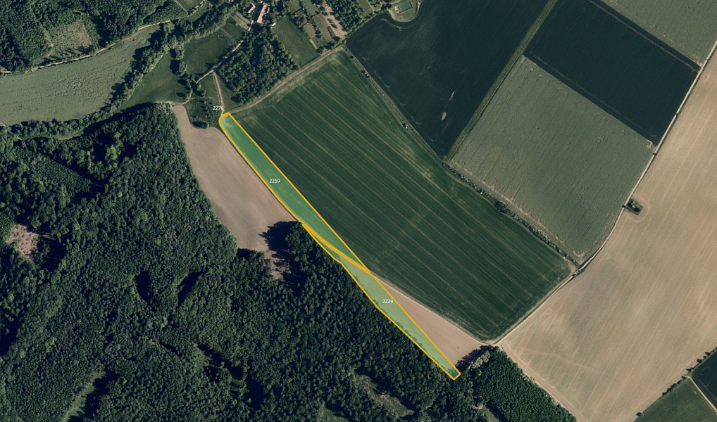 Prodej pole 13 193 m², Pačlavice – náhled fotky 3