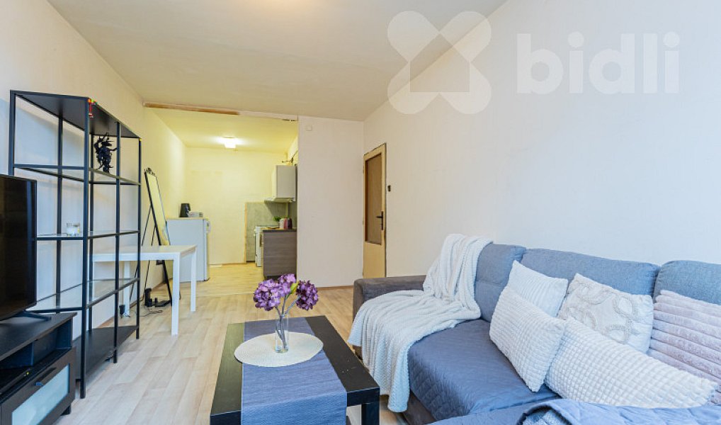 Prodej bytu 2+kk 47 m², Praha – náhled fotky 6