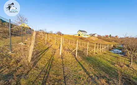Prodej stavebního pozemku 1 444 m², Pasohlávky, okres Brno-venkov