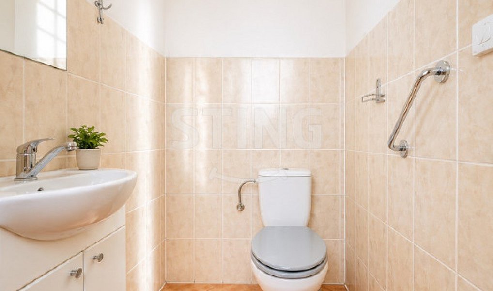 Prodej domu 197 m² s pozemkem 4 419 m², Pražmo – náhled fotky 21