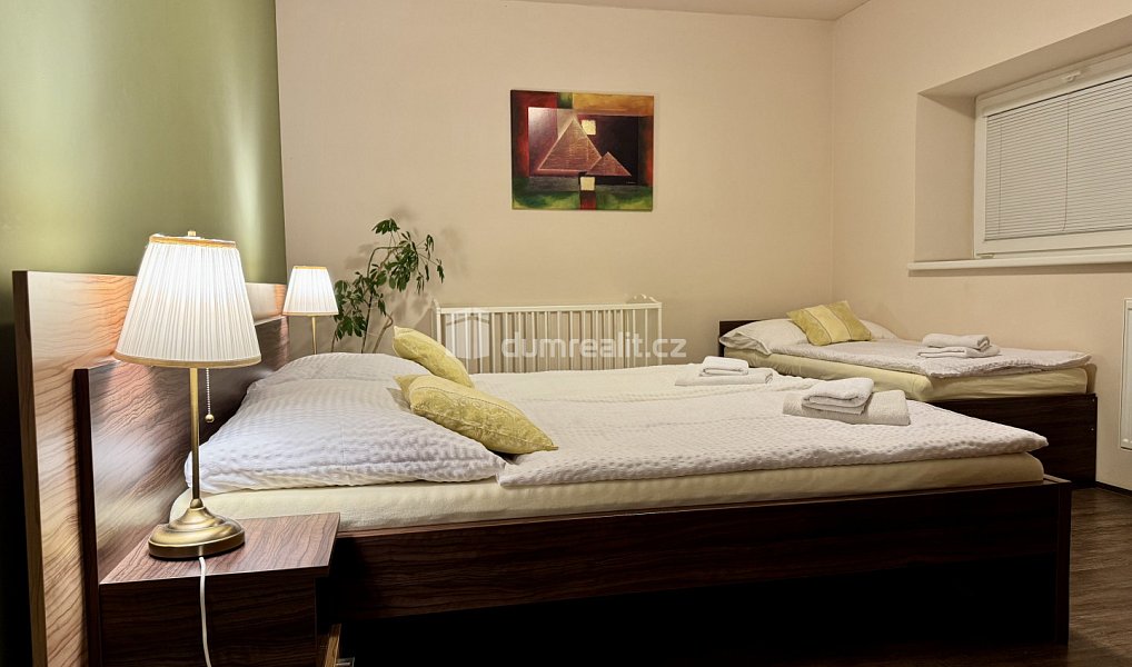 Prodej ubytovacího objektu 908 m², Topolná – náhled fotky 12