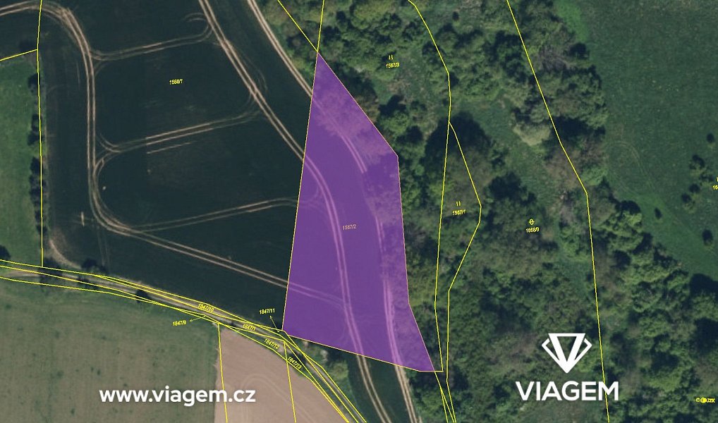 Prodej pole 4 475 m², Přelouč – náhled fotky 4