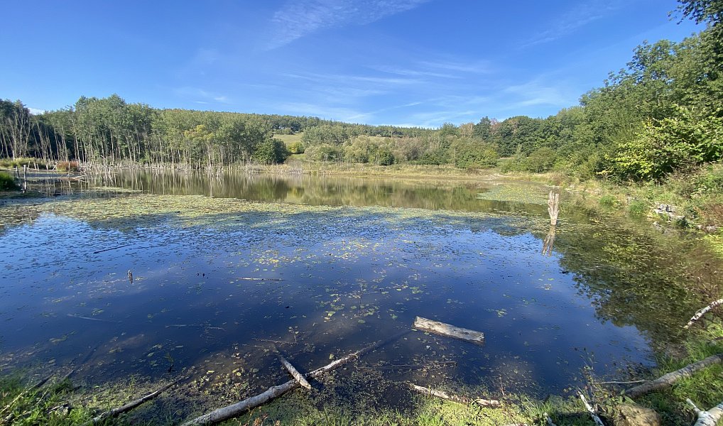 Prodej stavebního pozemku 1 605 m², Nová Ves pod Pleší – náhled fotky 13