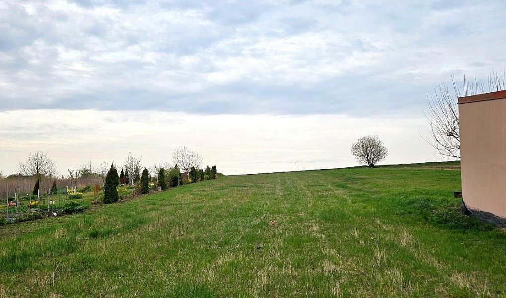 Prodej stavebního pozemku 1 606 m², Borkovany – náhled fotky 5