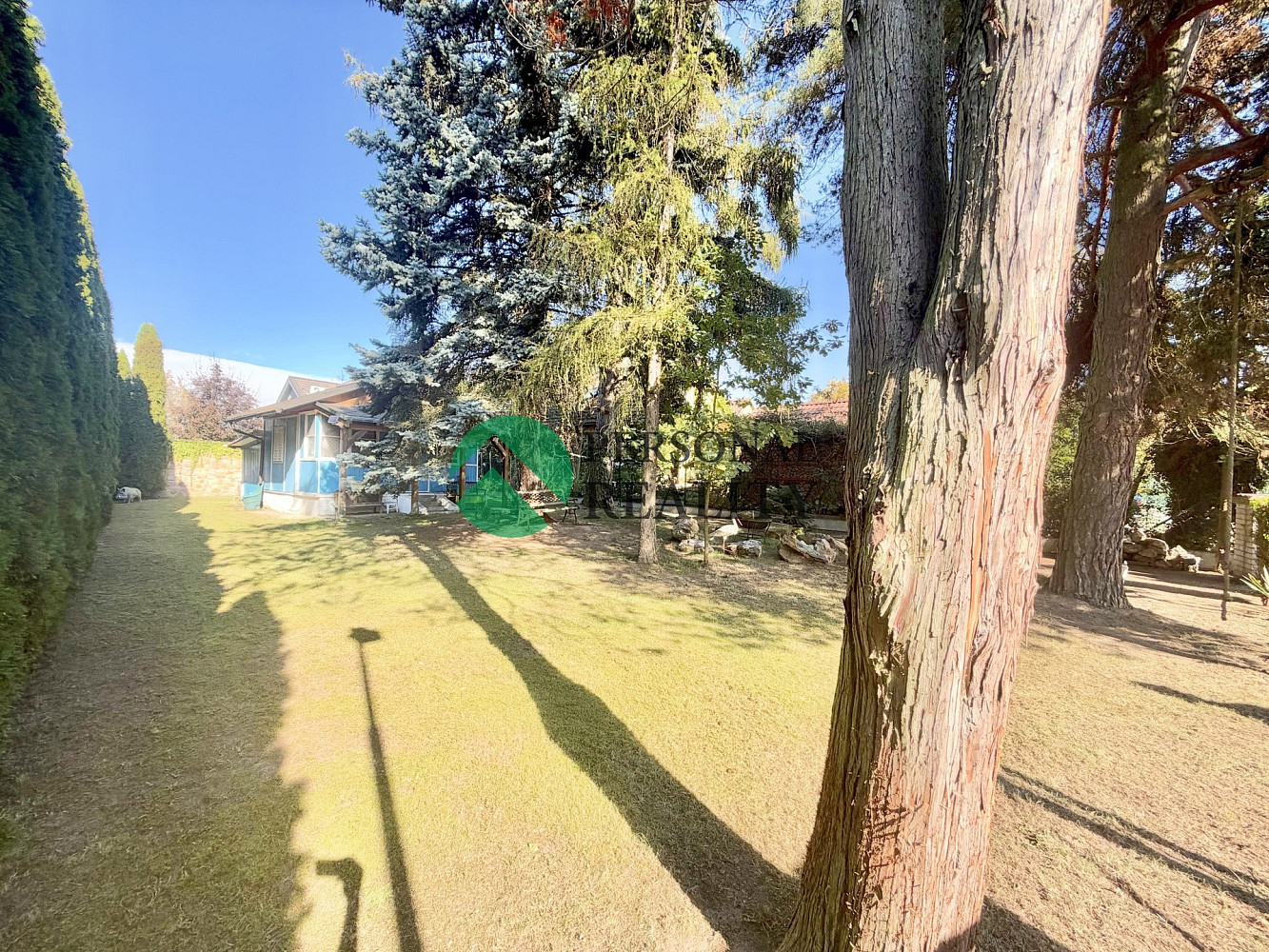 Fotka 12 z 15