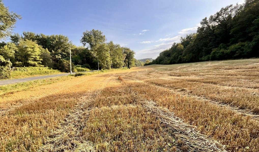 Prodej stavebního pozemku 14 370 m², Kralupy nad Vltavou – náhled fotky 4