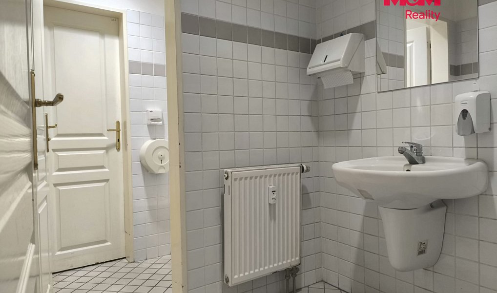 Pronájem obchodních prostor 524 m², Horažďovice – náhled fotky 13