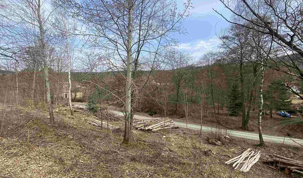 Prodej stavebního pozemku 704 m², Horní Stropnice – náhled fotky 5