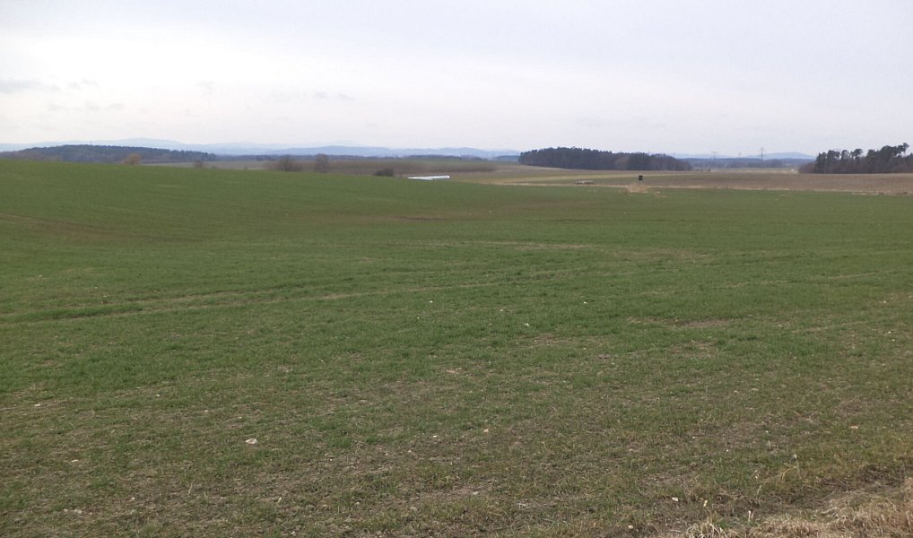 Prodej pole 2 330 m², Dříteň – fotka 1 z 6