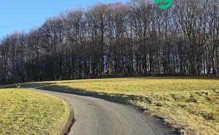 Prodej lesa 96 946 m², Vsetín