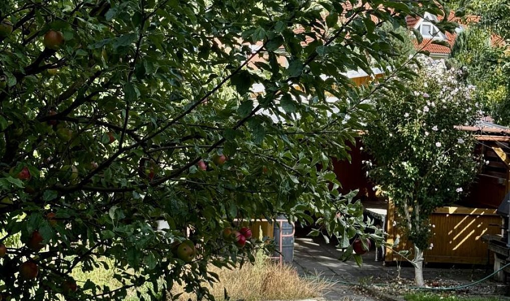 Prodej domu 195 m² s pozemkem 518 m², Zlín – náhled fotky 22
