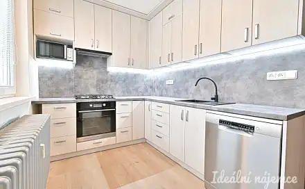 Pronájem bytu 1+1 41 m², Trpínky, Vyškov - Vyškov-Předměstí