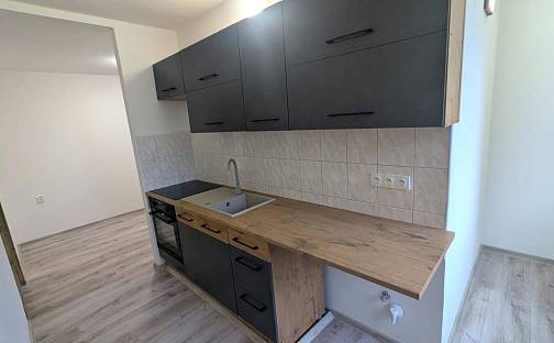 Pronájem bytu 2+1 50 m², Sídliště Za Chlumem, Bílina - Teplické Předměstí, okres Teplice