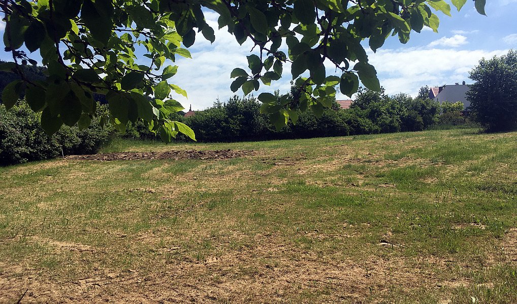Prodej stavebního pozemku 3 613 m², Koryčany – náhled fotky 5