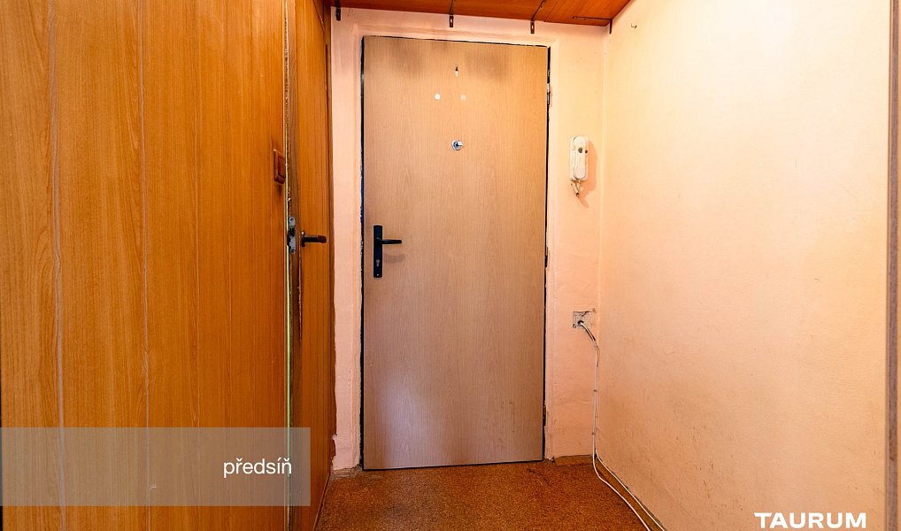 Prodej bytu 1+kk 20 m², Plzeň – náhled fotky 11