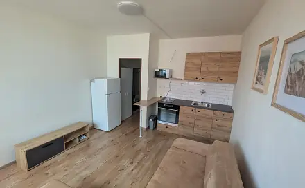 Pronájem bytu 1+kk 22 m², U Věžových domů, Most