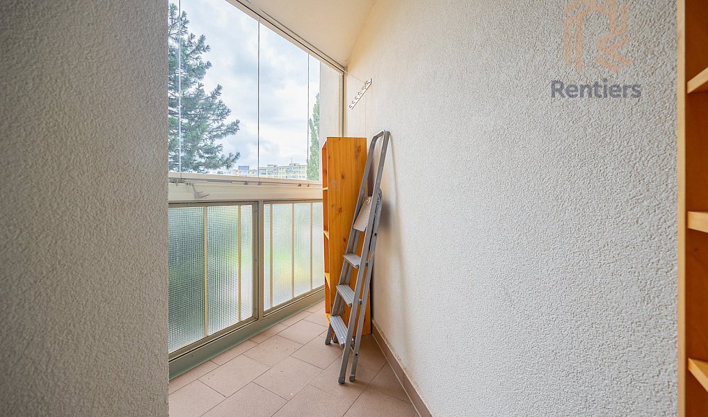Pronájem bytu 3+kk 104 m², Praha – náhled fotky 13