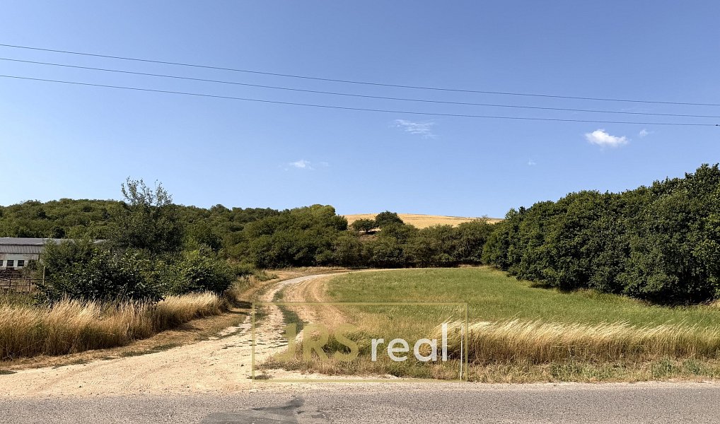 Prodej komerčního pozemku 3 025 m², Boleradice – náhled fotky 6