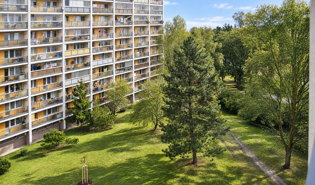 Prodej bytu 3+1 65 m², Hradec Králové – náhled fotky 12