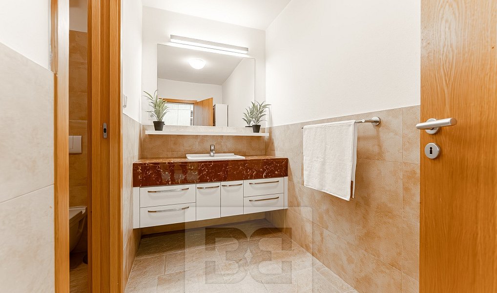 Prodej bytu 6+kk 230 m², Praha – náhled fotky 13
