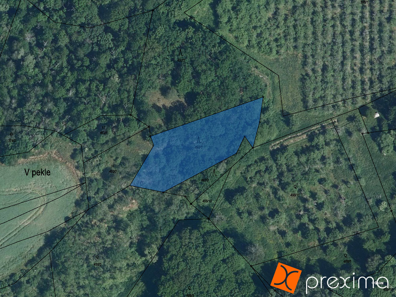 Prodej lesa 294 m²