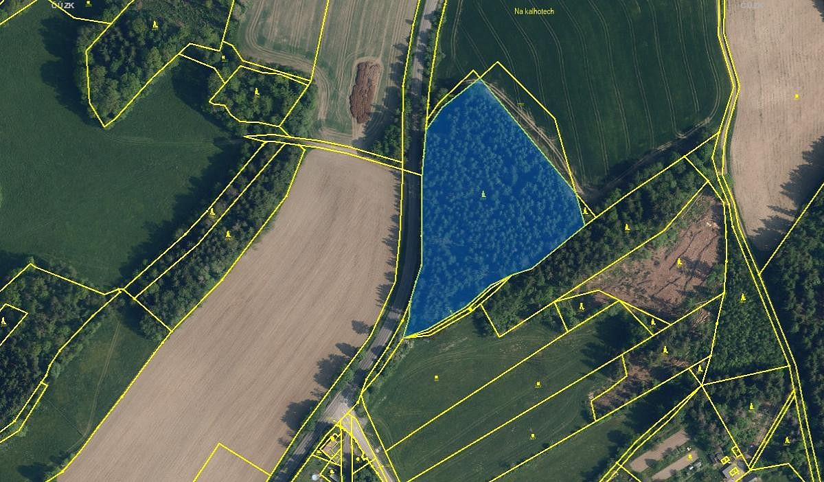 Prodej lesa 6 790 m²