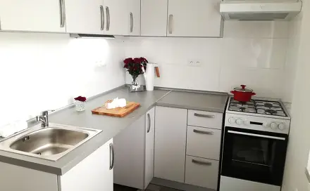 Pronájem bytu 1+1 39 m², U Haldy, Ostrava - Hrabůvka