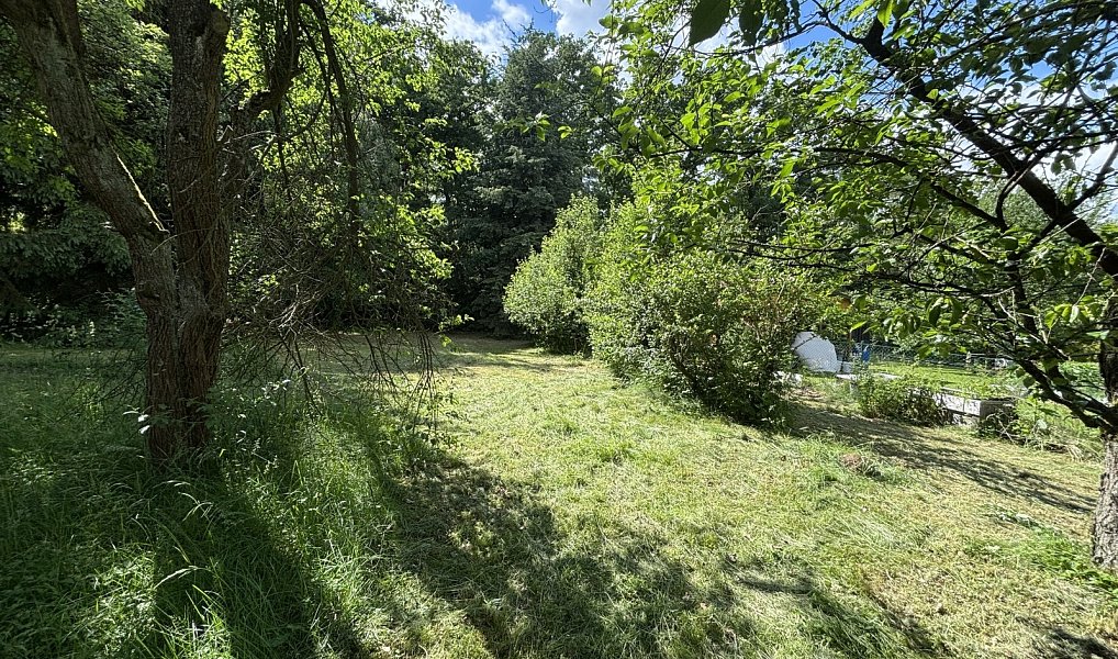 Prodej chaty/chalupy 20 m² s pozemkem 1 500 m², Luka nad Jihlavou – náhled fotky 10