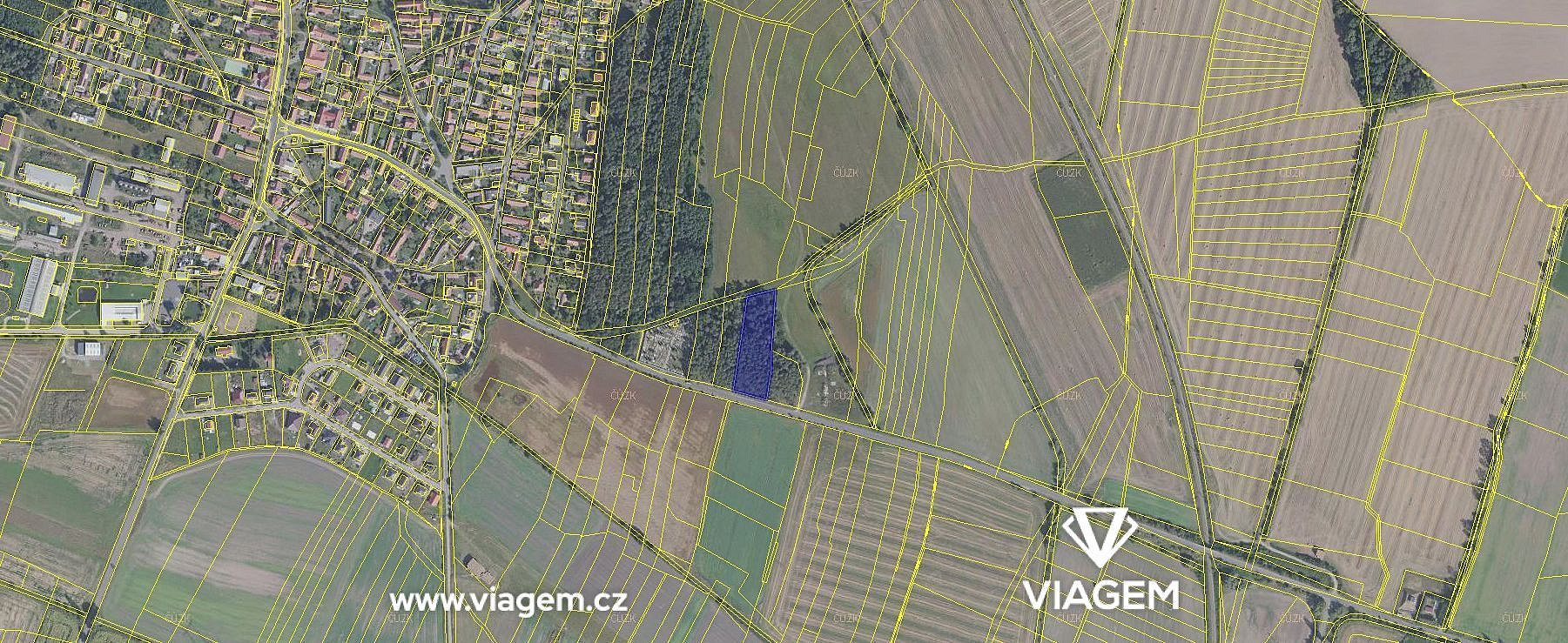 Prodej lesa 884 m² – fotografie 2