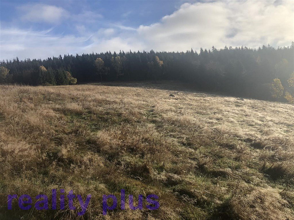 Prodej louky 15 452 m² – fotografie 3