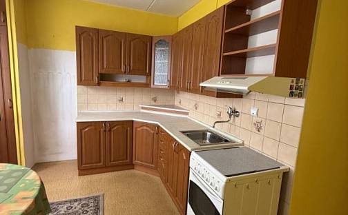 Prodej bytu 3+1 74 m², V Lukách, Heřmanův Městec, okres Chrudim