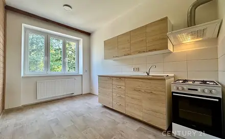 Pronájem bytu 1+1 40 m², Viniční, Brno - Židenice