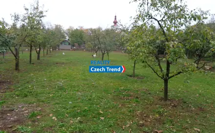 Ostatní