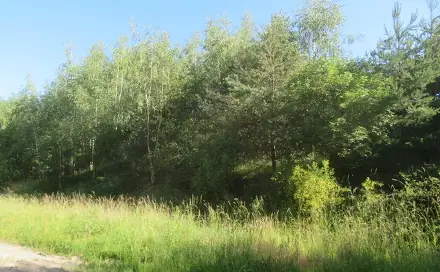 Dražba pozemku 860 m², Nové Strašecí