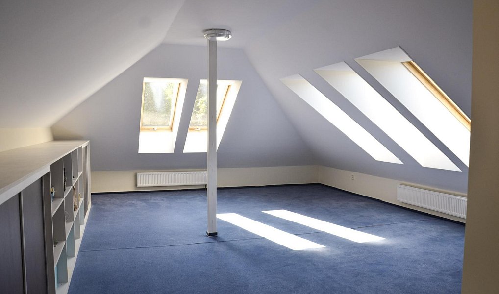 Prodej domu 392 m² s pozemkem 3 190 m², Olšany – náhled fotky 26