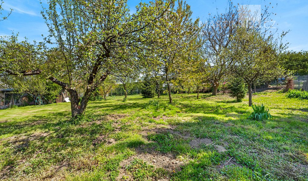 Prodej stavebního pozemku 1 210 m², Kamenný Přívoz – náhled fotky 11