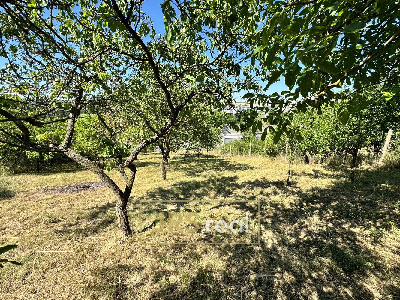 Prodej zahrady 530 m²