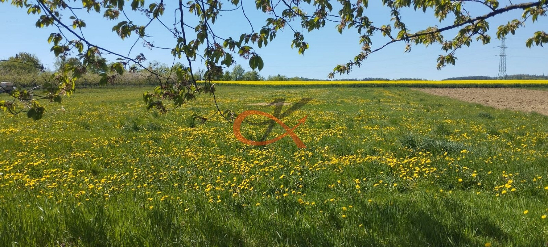 Fotka 6 z 7