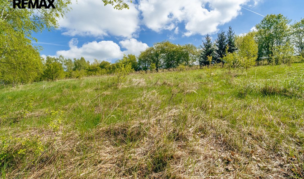 Prodej vodní plochy 28 310 m², Střítež – náhled fotky 13